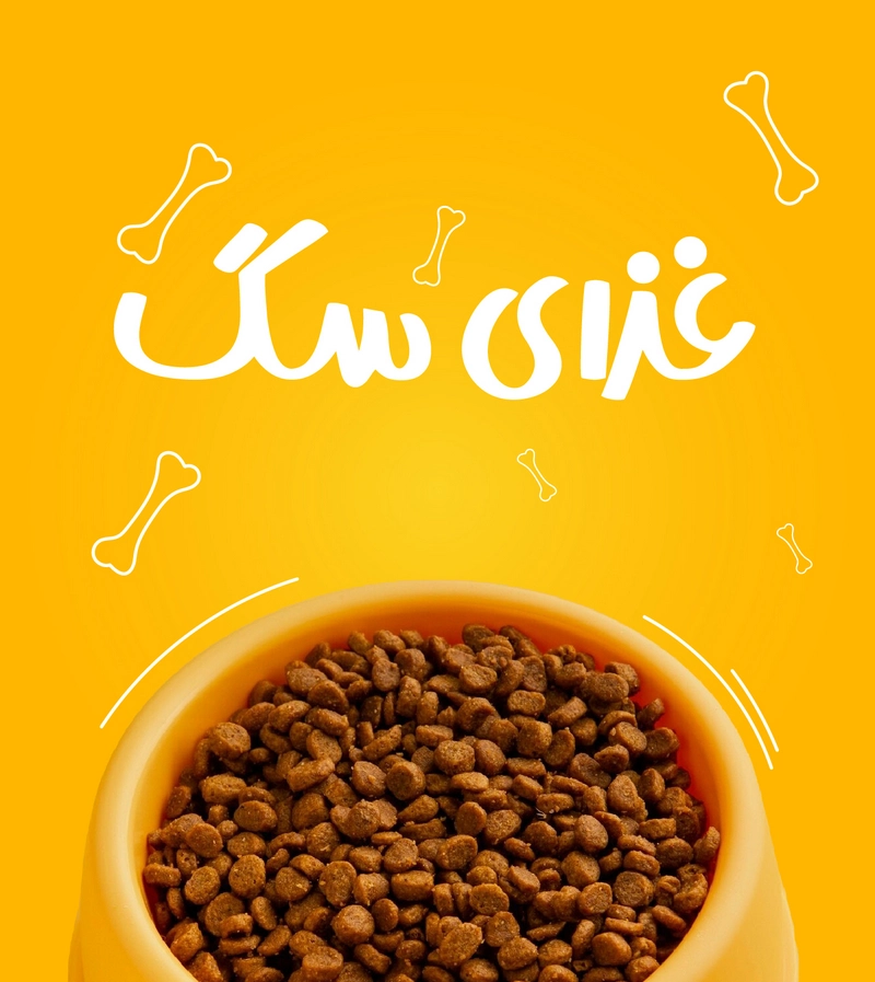 غذای سگ
