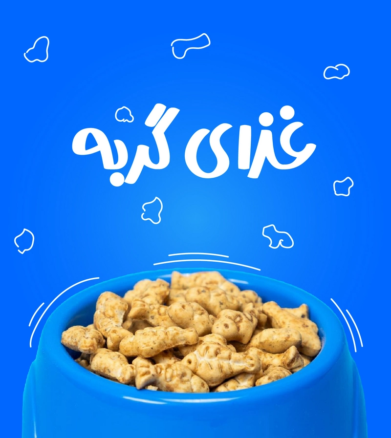 غذای گربه