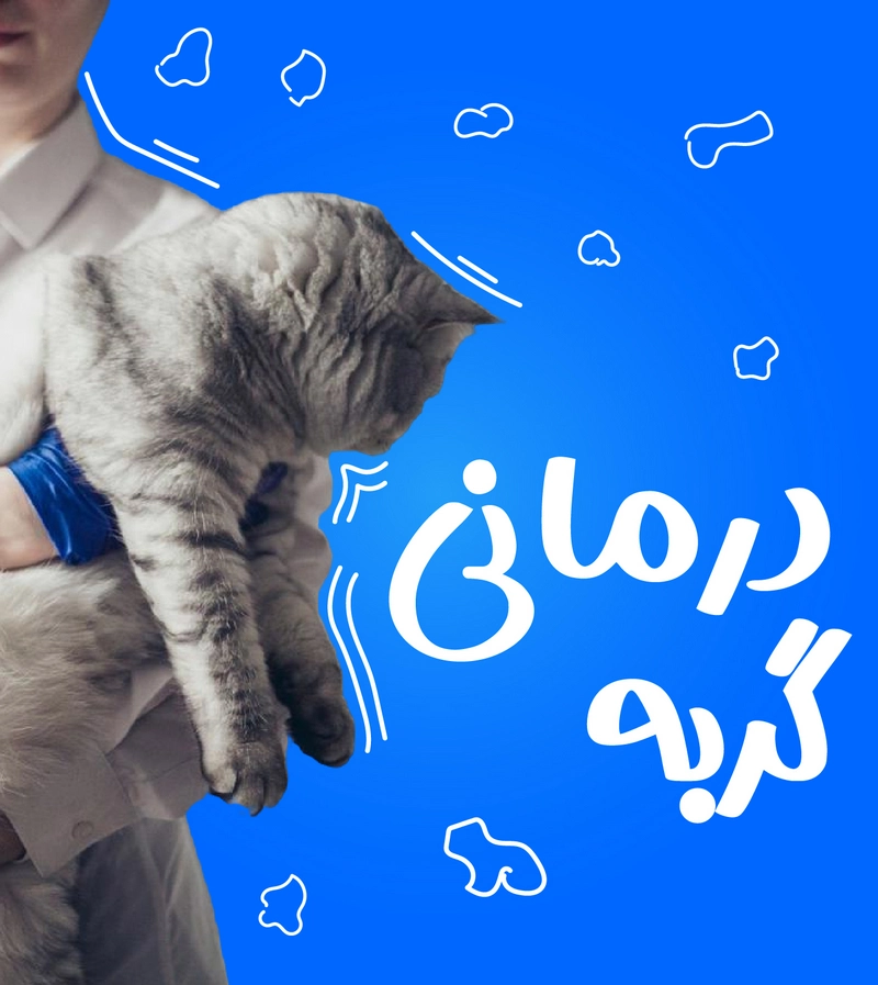 درمانی گربه