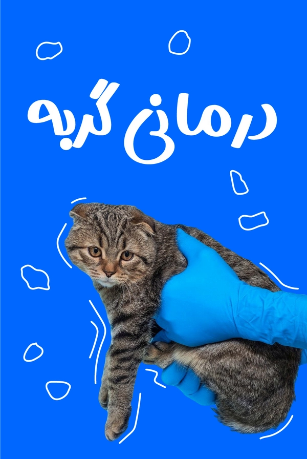 درمانی گربه