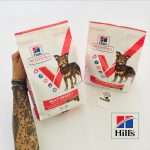 ذای خشک هیلز سگ مولتی بنفیت | طعم بره و برنج | نژاد متوسط و بزرگ - 2کیلو Hill's Vet Essential Adult Medium Multi Benefit