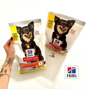 غذای خشک مراقبتی هیلز پرفکت دایجسشن (سلامت گوارش) | نژاد کوچک | 1/5 کیلو Hill's Science Plan Perfect Digestion Small & Mini Adult 1+ Dog Food