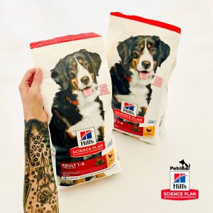 غذای خشک سگ هیلز ادالت 1-5 سال | تقویت مفاصل نژاد بزرگ | 2/5 کیلو Adult Large Breed Dry Dog Food with Chicken Hill's Science Plan | Large  25 Kg