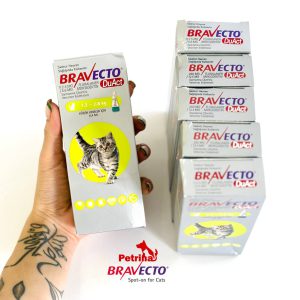 قطره ضد کک و کنه گربه براوکتو پلاس (1/2 تا 2/5 کیلو) | Bravecto Plus