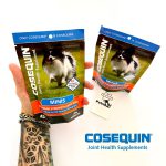 قرص تقویت مفاصل و غضروف کوزکویین ( سگ بالغ نژاد کوچک ) | 45 عدد | COSEQUIN COSEQUIN Minis Joint Health Supplement