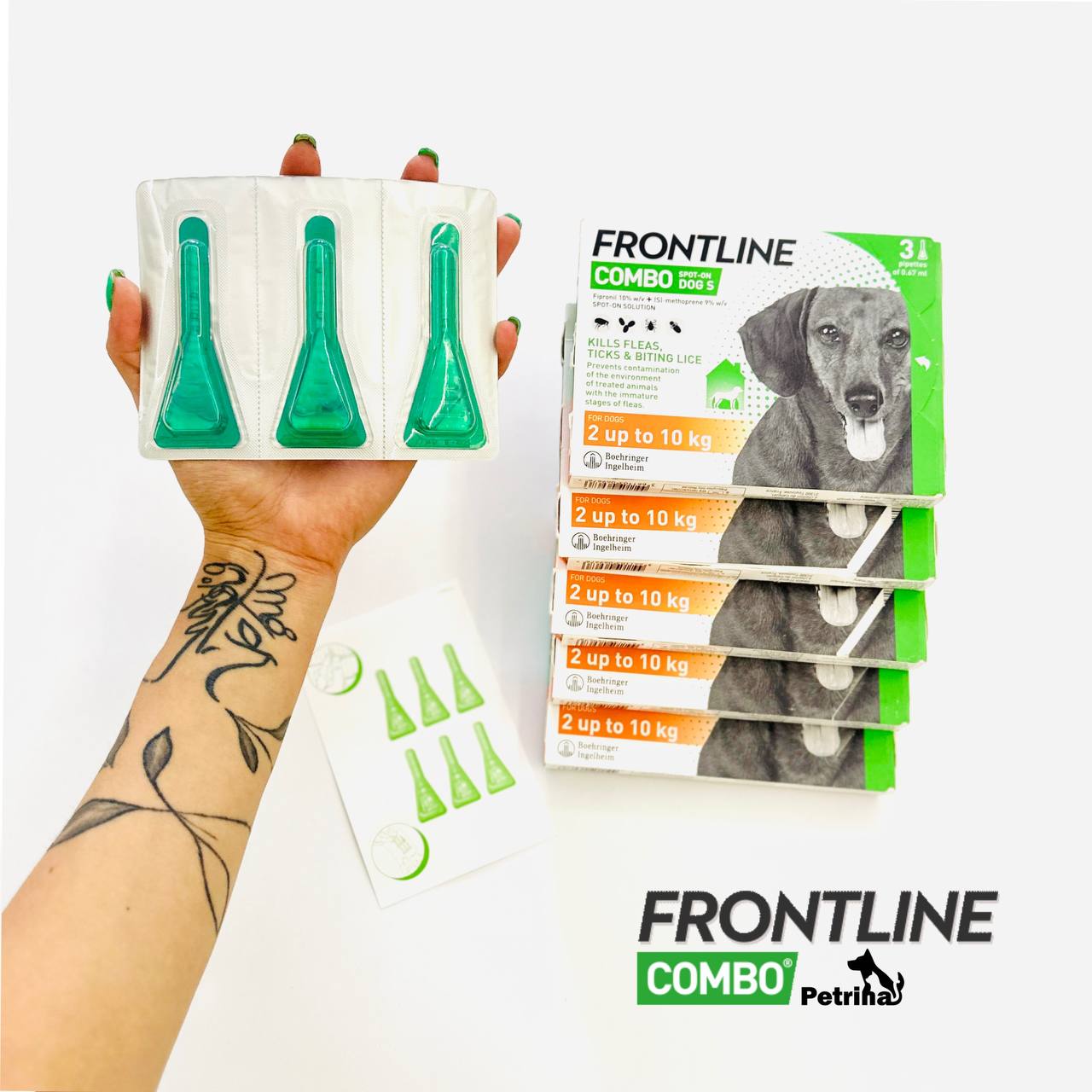Frontline Spot On Flea & Tick Treatment Small Dog (2-10kg) طی قطره ضد کک، کنه و شپش سگ فرانتلاین (2 تا 10 کیلو) | Frontline Spot On Flea & Tick Treatment Frontline Spot On Flea & Tick Treatment Small Dog (2-10kg)