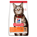 غذای خشک هیلز گربه 1 تا 6 سال | گوشت بره (1/5 کیلوگرم) HILL'S SCIENCE PLAN Adult Cat Food with Lamb