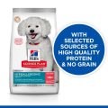 غذای خشک مراقبتی هیلز هایپوآلرژنیک | سگ بالغ بالای 1 سال | نژاد کوچک | 1/5 کیلوگرم | Hill's Science Plan HYPOALLERGENIC SMALL & MINI ADULT DOG FOOD with SALMON