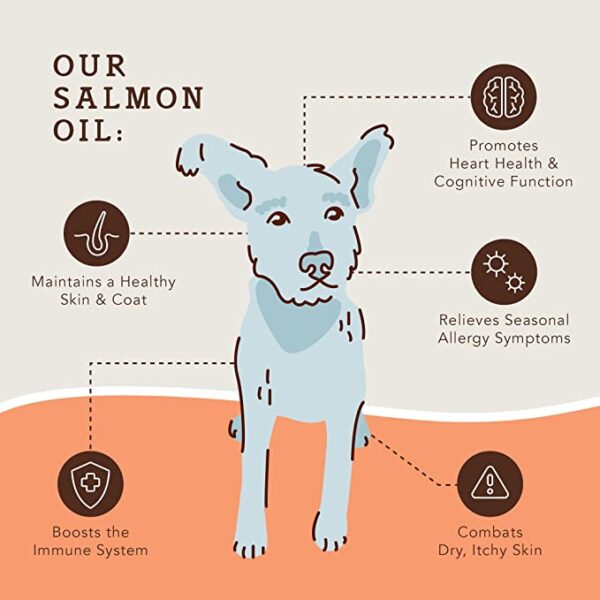 روغن ماهی سالمون | طبیعی | همه نژادها و سنین | Natural Dog Company Salmon Oil