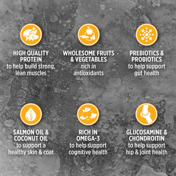 غذای خشک سگ نوترینس مدل سابزیرو طعم مرغ و بوقلمون | تمامی نژادها | Nutrience Grain Free Subzero Fraser Valley