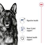 غذای خشک رویال کنین سگ ماکسی ادالت نژاد بزرگ 15 کیلو | Maxi Adult Royal Canin