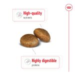 غذای خشک رویال کنین سگ ماکسی ادالت نژاد بزرگ 15 کیلو | Maxi Adult Royal Canin