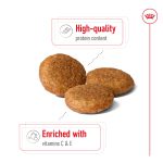 غذای خشک سگ رویال کنین مدیوم ادالت | 15 کیلو | Royal Canin Medium Adult Royal Canin Medium Adult Dry Food For Dog 15kg
