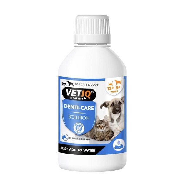 محلول خوراکی دهانشویه و محافظت از دهان و دندان سگ و گربه |  VetIQ® 2 in 1 Denti Care - ORAL HYGIENE SOLUTION