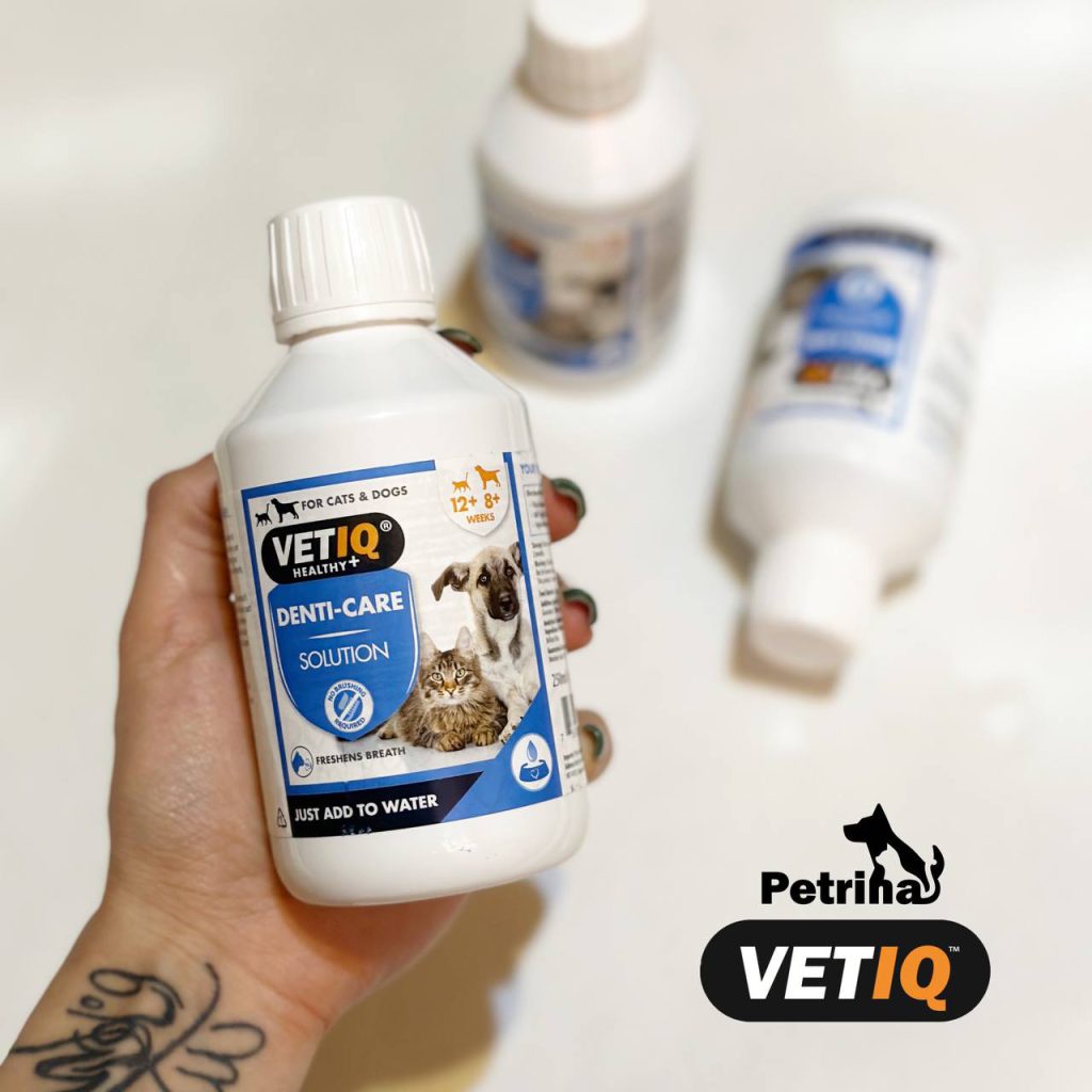 دهانشویه و محافظت از دهان و دندان سگ و گربه - محلول خوراکی | VetIQ® 2 in 1 Denti Care