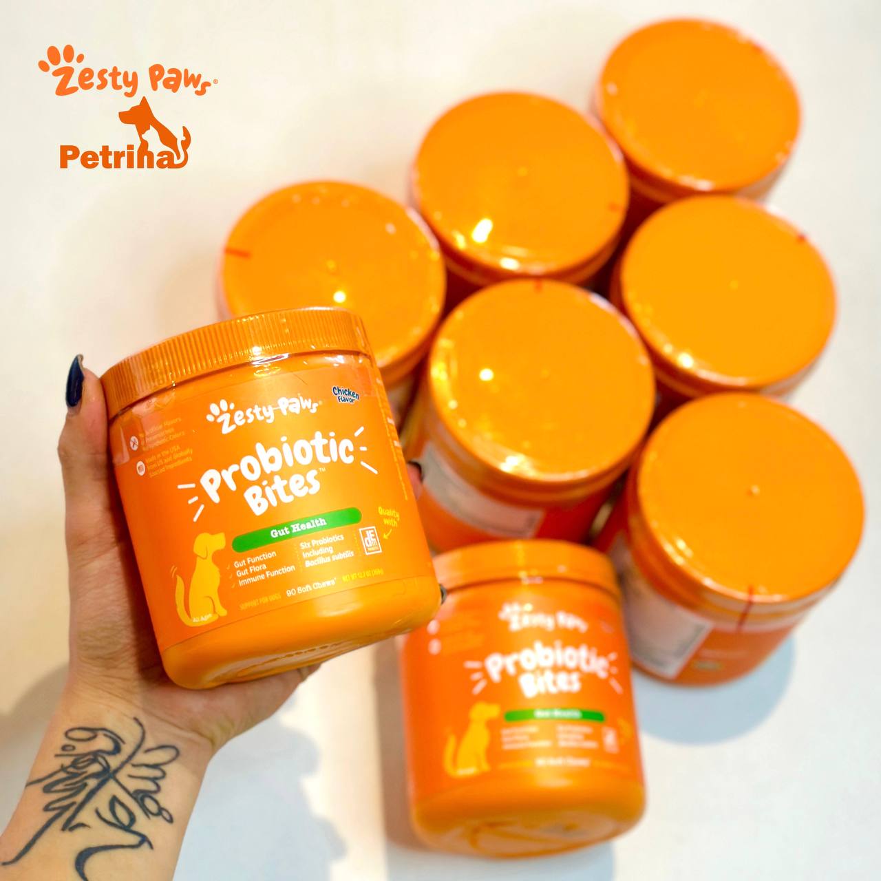 Zesty Paws Probiotic مکمل پروبیوتیک سگ زستی پاز | سلامت روده و گوارش - 90 عدد | Zesty Paws Probiotic