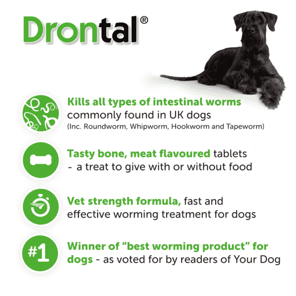 قرص ضد انگل سگ‌ درنتال برای نژاد بزرگ | DRONTAL TASTY BONE WORMER TABLETS