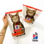 غذای خشک هیلز گربه 1 تا 6 سال | گوشت بره (1/5 کیلوگرم) HILL'S SCIENCE PLAN Adult Cat Food with Lamb