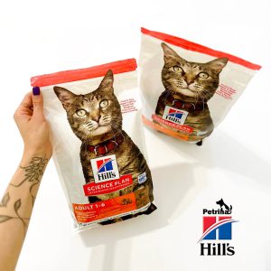 غذای خشک هیلز گربه 1 تا 6 سال | گوشت بره (1/5 کیلوگرم) HILL'S SCIENCE PLAN Adult Cat Food with Lamb