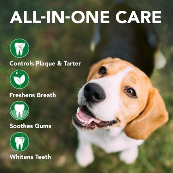 ژل تمیز کننده دندان سگ برند وتس بست | Vet's Best Dental Gel Toothpaste