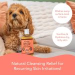شامپو ملایم ضد خارش و ترمیم پوست های خشک و آسیب دیده (هایپوآلرژیک) | مورد تایید دامپزشکی و کاملا طبیعی | Natural Dog Company Itchy Dog Shampoo