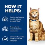 غذای خشک هیلز درمانی گربه بالغ مراقبت از مثانه طعم مرغ | Urinary Care c/d Multicare Cat Food