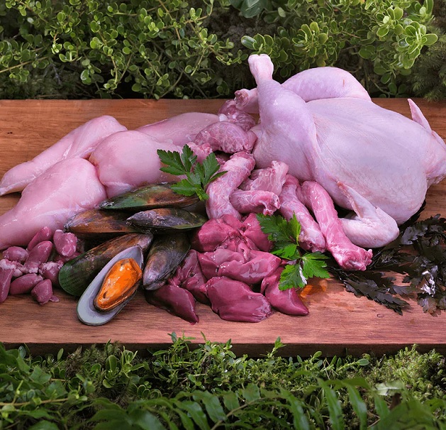 کنسرو سگ ZIWI گوشت مرغ نیوزیلندی 390 گرم | ZIWI Canned Wet food (کپی)