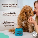 مولتی ویتامین سگ | 100% طبیعی | همه نژادها و سنین | Natural Dog Company Multivitamin Supplement