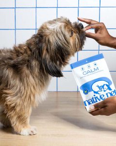 مکمل طبیعی آرامش بخش و ضد استرس سگ | Native Pet CALM