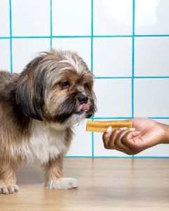 تشویقی دنتال سگ YAK CHEW غنی شده با پروتئین شیر یاک | Native Pet