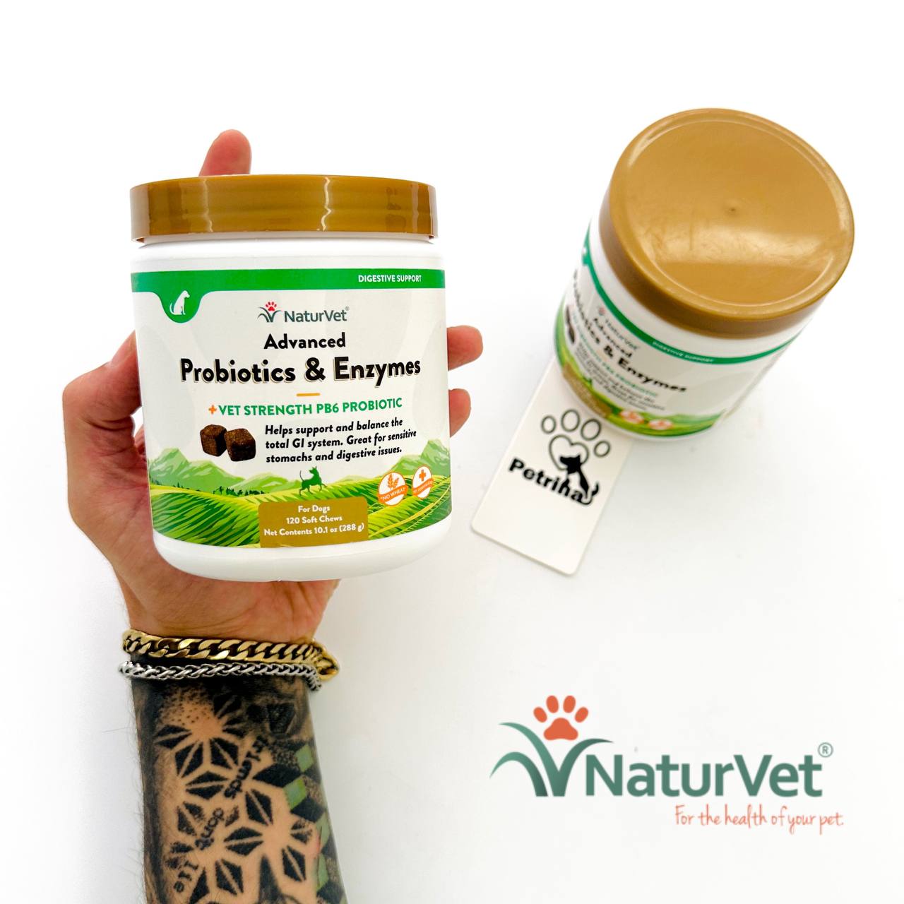 NaturVet® ADVANCED PROBIOTICS & ENZYMES SOFT CHEWS مکمل تقویت گوارش و پروبیوتیک سگ نچر وت | 100% طبیعی | 120 عدد NaturVet® ADVANCED PROBIOTICS & ENZYMES SOFT CHEWS