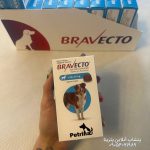 قرص ضد کک و کنه سگ براوکتو (20 تا 40 کیلو) | BRAVECTO Chew