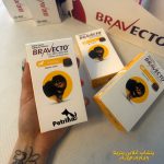 قرص ضد کک و کنه سگ براوکتو (2 تا 4.5 کیلو) | BRAVECTO Chew