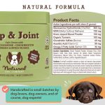 مکمل تقویتی مفاصل و غضروف سگ | طبیعی و ارگانیک - همه نژادها و همه سنین | Hip And Joint Natural Dog Company