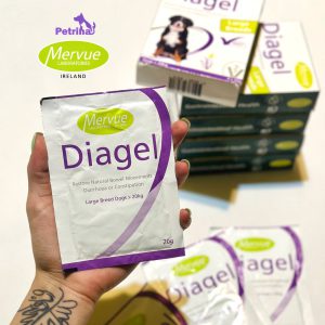 پودر خوراکی درمان اسهال و ناراحتی گوارشی سگ نژاد بزرگ دیاژل (مدل جدید) Mervue Diagel for Large Breeds – 4x20g – Digestive Support