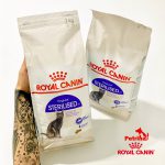 غذای گربه رویال کنین مدل استرلایزد (عقیم شده) | 2 کیلو | STERILISED 37