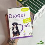 درمان اسهال و ناراحتی گوارشی سگ نژاد بزرگ دیاژل (پودر خوراکی) ساشه 20 گرمی | Diagel for Dogs