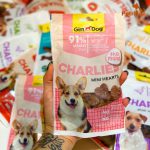 تشویقی سگ جیم داگ طعم گوشت خوک | Gim Dog Treats