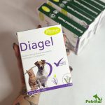 درمان اسهال و ناراحتی گوارشی سگ و گربه دیاژل (پودر خوراکی) ساشه 10 گرمی | Diagel for Dogs and Cats