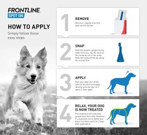 قطره ضد کک، کنه و شپش فرانتلاین برای سگ 10 تا 20 کیلو | Frontline Spot On Flea & Tick Treatment