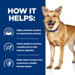 غذای سگ هیلز درمانی گوارش و نارسایی پانکراس (همه نژادها) | 1/5 کیلو | i/d Dog Food