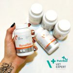 مکمل تقویتی کلیه سگ و گربه RENALVET برند VetExpert RENALVET VetExpert