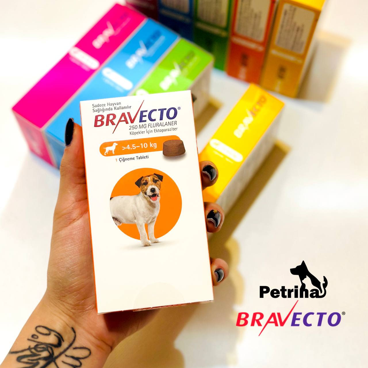 قرص ضد کک و کنه سگ براوکتو (4.5 تا 10 کیلو) | BRAVECTO Chew قرص ضد کک و کنه سگ براوکتو (4.5 تا 10 کیلو) | BRAVECTO Chew