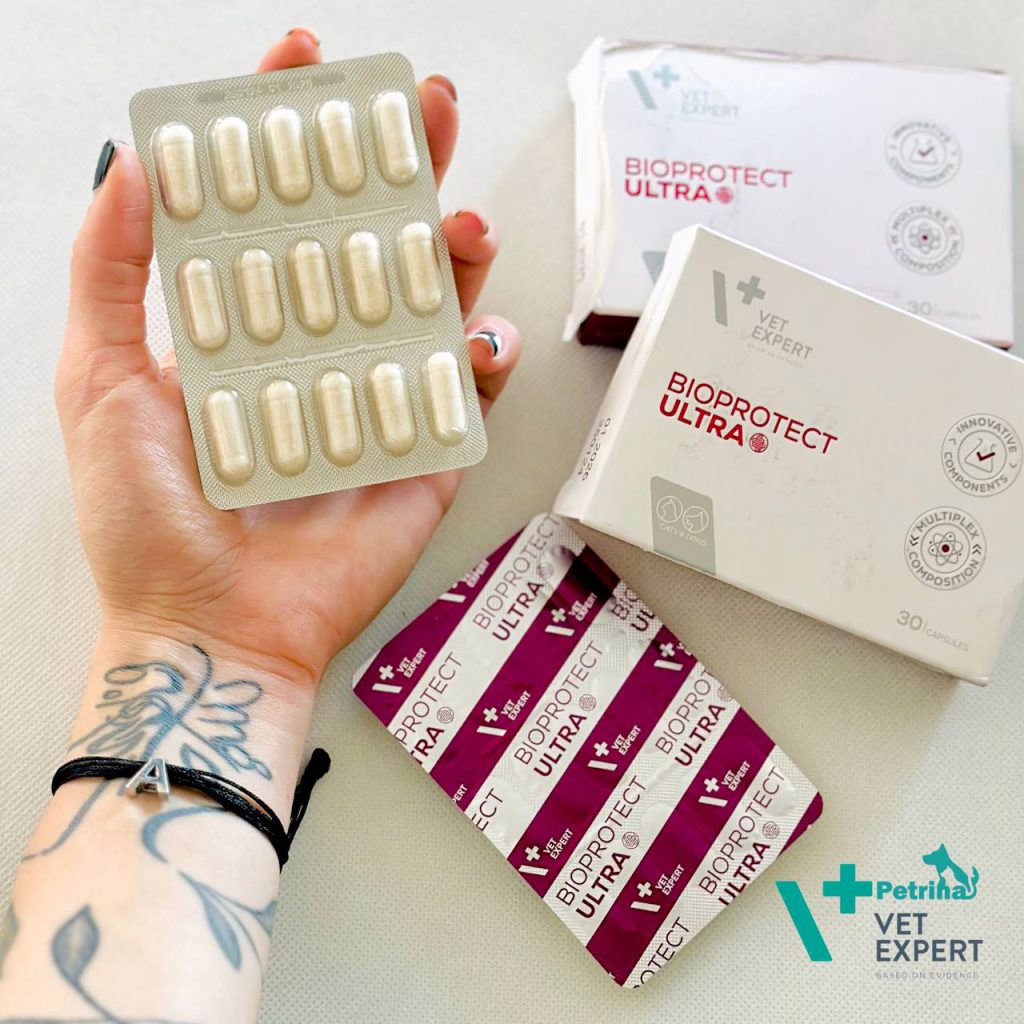 پروبیوتیک سگ و گربه BioProtect برند VetExpert | درمان اسهال و تقویت گوارش BIOPROTECT ULTRA VetExpert