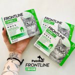 قطره ضد کک، کنه و شپش گربه فرانتلاین کمبو | 3 پیپت |  Frontline Combo Cat FRONTLINE Combo®Line Cat Spot On Flea & Tick Treatment