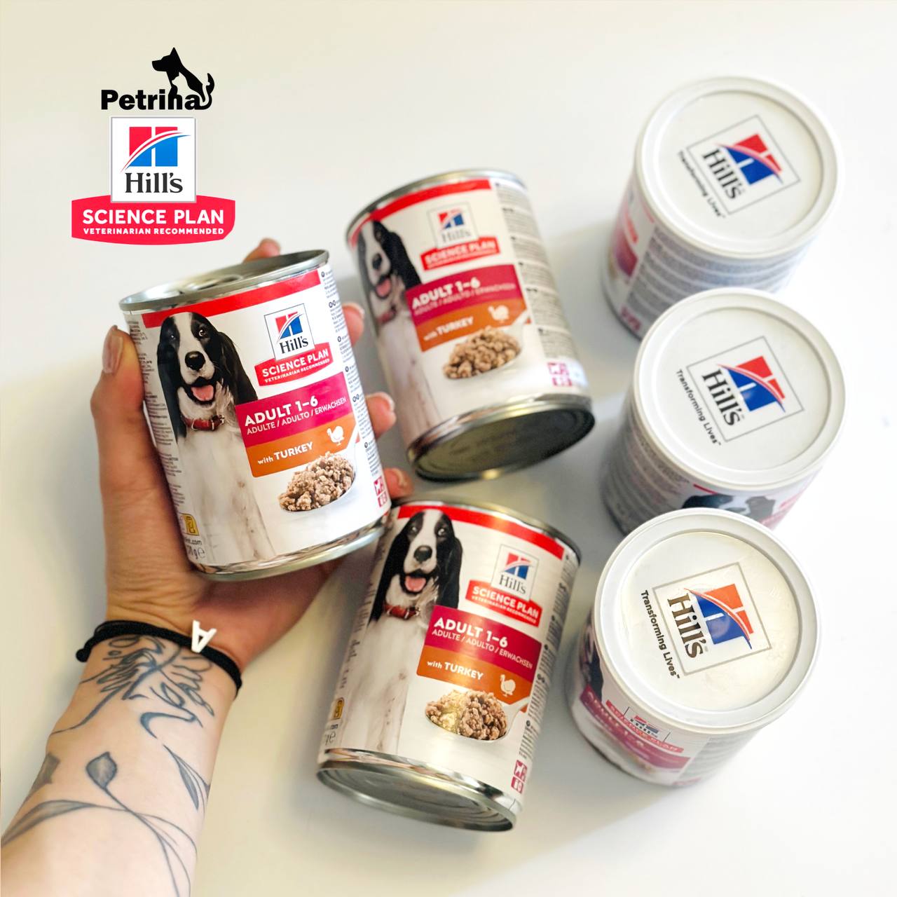 Hill's Science Plan Adult Wet Dog Food with Turkey کنسرو سگ هیلز گوشت بوقلمون | همه نژادها 375 گرم | Hill's Science Plan Adult Wet Dog
