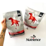 غذای خشک سگ نوترینس فریزدراید اینفیوژن Nutrience Infusion | (2/27 و 5 کیلو) | گوشت گاو Nutrience Infusion Healthy Adult, Beef – Dog Food