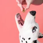 تشویقی سگ پروبیوتیکی Pooch & Mutt | اردک و رزماری | هایپو آلرژی و مراقبت از دندان