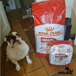 غذای خشک رویال کنین مدیوم ادالت سگ | 15 کیلو | Medium Adult Royal Canin