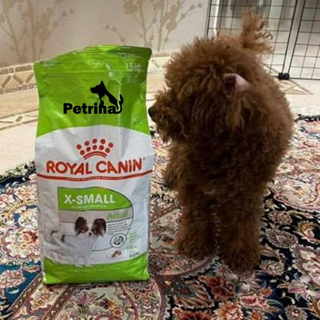 غذای سگ رویال کنین ایکس اسمال ادالت (نژاد کوچک) | 1/5 کیلو | Royal Canin X-SMALL Adult